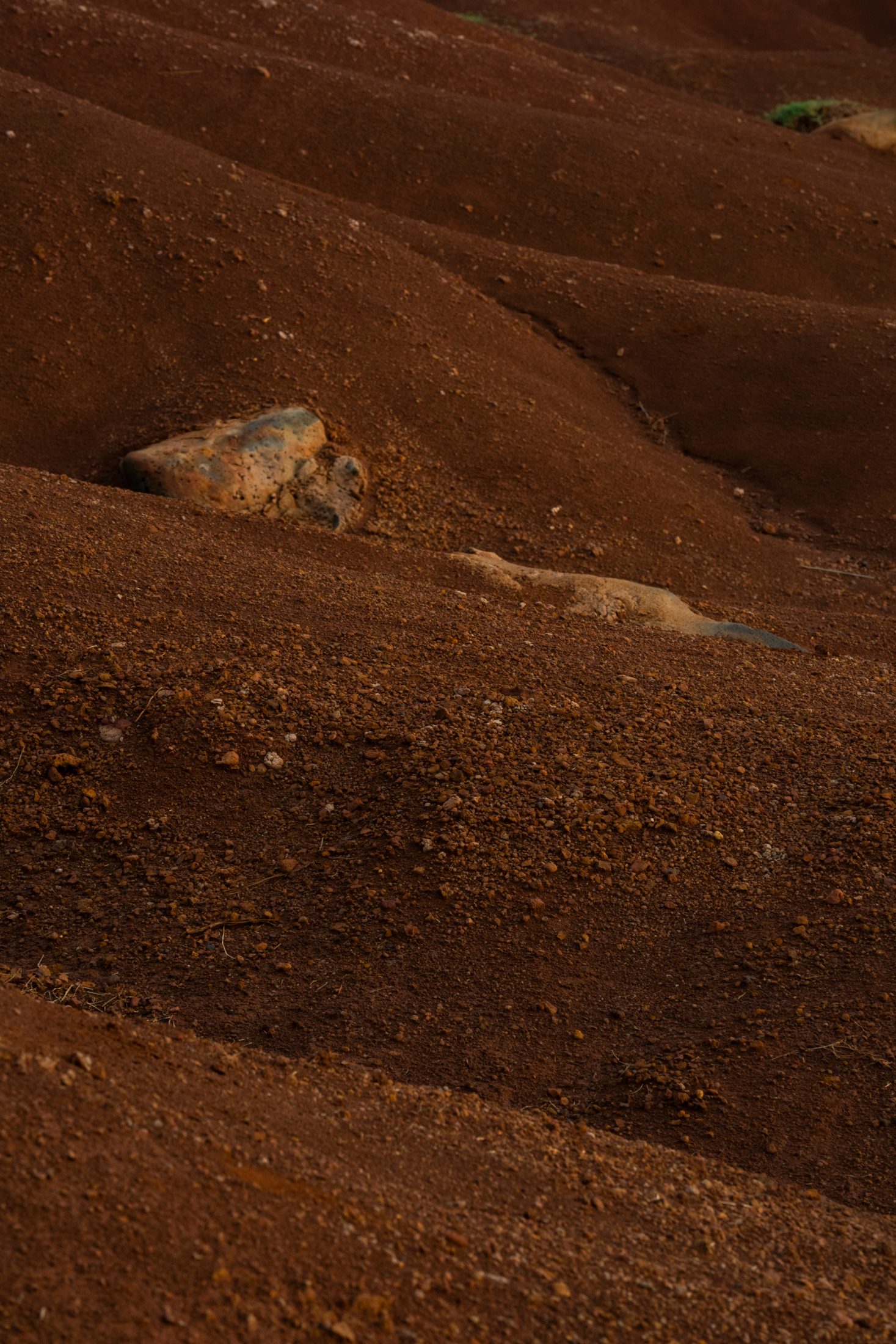 Red volcanic terrain, Kauaʻi